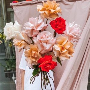 Meet your Posher, Josie